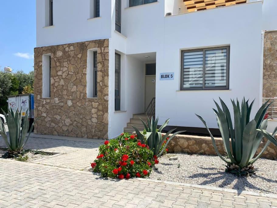Girne/Zeytinlik 2+1 Muhtesem Terasli Daire ภายนอก รูปภาพ